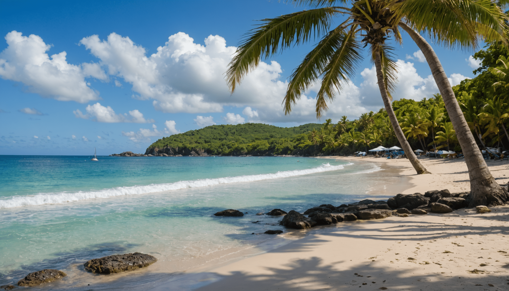 explorez les plages de rêve de guadeloupe, où le sable doré rencontre des eaux turquoise. plongez dans un paysage paradisiaque, entre cocotiers et paysages époustouflants, pour une expérience inoubliable au cœur de la nature.