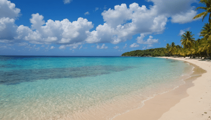 plongez dans l'univers enchanteur des plages de guadeloupe, où le sable doré rencontre les eaux turquoise. découvrez des paysages à couper le souffle et laissez-vous séduire par la beauté naturelle de cette île paradisiaque. une invitation à l'évasion et à la détente vous attend!