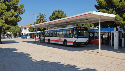explorez argostoli, la charmante capitale de céphalonie, à travers notre guide complet. découvrez ses plus beaux sites, ses plages idylliques et ses délices culinaires pour profiter pleinement de votre visite.