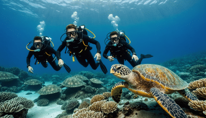explorez l'incroyable monde des tortues caouannes sur l'île de céphalonie. découvrez leur habitat, leurs comportements fascinants et les efforts de préservation pour protéger ces créatures marines menacées. plongez dans une aventure inoubliable au cœur de la nature!