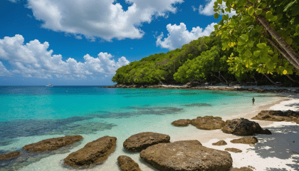 découvrez les merveilles du gosier en guadeloupe ! explorez les plages idylliques, profitez d'activités nautiques excitantes et visitez les attractions incontournables qui font de cette destination un véritable paradis tropical. ne manquez pas l'occasion de vivre une expérience inoubliable.