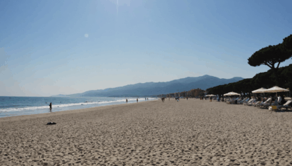 partez à la découverte de bibbona et de sa splendide côte toscane : sites incontournables, plages préservées et activités pour tous. préparez votre séjour grâce à notre guide des incontournables de bibbona !