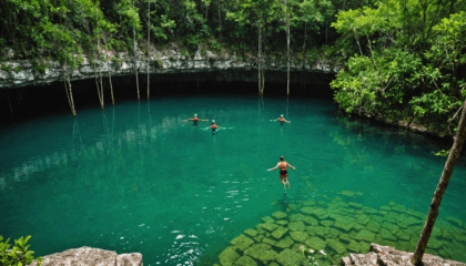 plongez dans l’univers fascinant du cénote xtoloc grâce à notre guide complet : conseils pratiques, activités incontournables et infos utiles pour vivre une aventure inoubliable au cœur du yucatán.