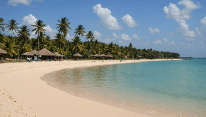 découvrez malindi au kenya à travers ses activités incontournables : plages paradisiaques, sites historiques, réserves naturelles et culture locale fascinante pour un séjour mémorable.