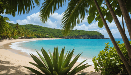 découvrez les cinq incontournables à ne pas manquer en guadeloupe : plages paradisiaques, nature luxuriante et trésors culturels pour un séjour inoubliable aux antilles.