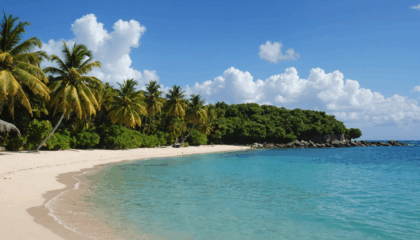 découvrez sainte-anne en guadeloupe : plages de rêve, marchés colorés, activités nautiques et sites incontournables pour un séjour inoubliable dans ce joyau des caraïbes.