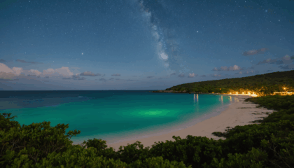 découvrez la magie scintillante de la baie de mosquito, un lieu féerique où l'eau s’illumine sous vos yeux. explorez ce phénomène naturel unique et vivez une expérience inoubliable au cœur des caraïbes.