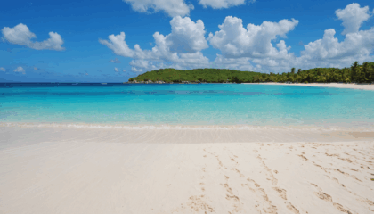 explorez les îles de guadeloupe : découvrez dix raisons incontournables de visiter ce paradis tropical, entre plages idylliques, culture créole authentique et paysages à couper le souffle.