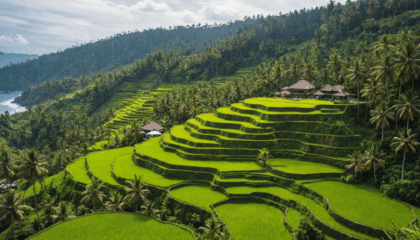 découvrez pourquoi bali est la destination idéale pour vos prochaines escapades : plages paradisiaques, culture fascinante et paysages à couper le souffle vous attendent pour un séjour inoubliable.