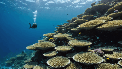 découvrez les meilleurs spots de plongée à bali : des eaux cristallines, des récifs colorés et une faune marine exceptionnelle vous attendent pour une expérience inoubliable !