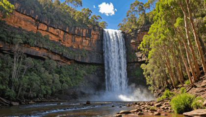 partez à la découverte des merveilles naturelles du plateau d'atherton en australie : cascades spectaculaires, forêts luxuriantes et faune unique vous attendent pour une aventure inoubliable.