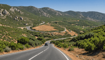 découvrez les conseils essentiels et les incontournables à connaître pour conduire sereinement en sardaigne. préparez votre voyage avec nos recommandations utiles pour une expérience de conduite réussie sur l'île.