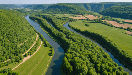 découvrez la dordogne sous tous ses angles : aventures en solo, activités en famille ou escapades entre amis. explorez ses villages, châteaux, rivières et saveurs locales pour un séjour inoubliable.