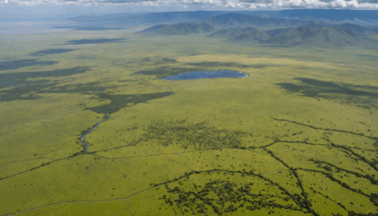 explorez la zone de conservation du ngorongoro grâce à notre guide pratique : découvrez ses paysages uniques, sa faune exceptionnelle et toutes les informations utiles pour préparer votre visite inoubliable en tanzanie.