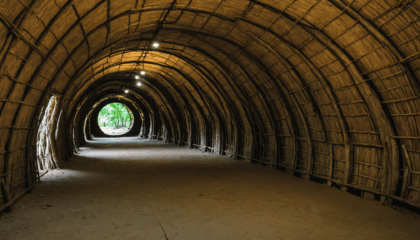 découvrez l'histoire fascinante des tunnels de cu chi au vietnam. plongez au cœur de ce site emblématique, témoin des stratégies et du quotidien des vietnamiens durant la guerre, pour une expérience immersive et mémorable.