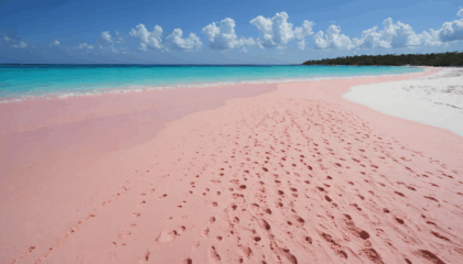 partez à la découverte des 15 plages les plus splendides des bahamas et laissez-vous séduire par leurs eaux turquoise, leur sable blanc et leurs paysages paradisiaques. un guide incontournable pour organiser votre prochain voyage de rêve !