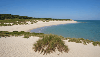 explorez l'île grande à pleumeur-bodou et découvrez ses trésors naturels et culturels. profitez d'idées d'activités pour tous : balades, plages, patrimoine et loisirs en famille ou entre amis.