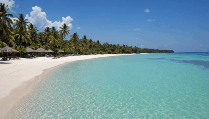 explorez les expériences incontournables à vivre en tanzanie : safaris inoubliables, plages paradisiaques, rencontres avec la faune sauvage et découverte de cultures authentiques. préparez votre aventure idéale en tanzanie !