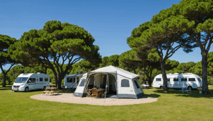 découvrez notre camping 4 étoiles sur l’île de ré et profitez d’un séjour unique mêlant nature préservée et prestations haut de gamme. réservez votre escapade détente et confort au cœur des paysages exceptionnels de l’île !