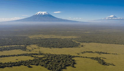 explorez le parc national d'amboseli au kenya grâce à notre guide ultime : safaris, faune sauvage, conseils pratiques et paysages spectaculaires au pied du kilimandjaro. préparez votre aventure inoubliable dès maintenant !