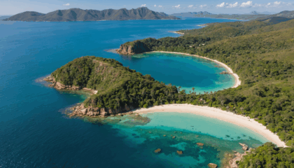 partez à la découverte de madagascar et vivez une expérience unique entre aventures palpitantes et moments de détente sur des plages paradisiaques. laissez-vous séduire par la richesse naturelle et culturelle de cette île inoubliable.