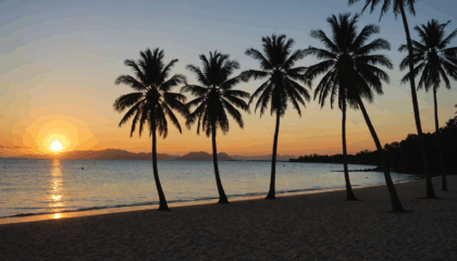 découvrez comment vivre un voyage de noces inoubliable à nouméa : paysages paradisiaques, activités romantiques et conseils pratiques pour une expérience unique au cœur de la nouvelle-calédonie.