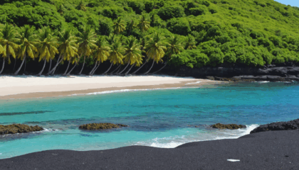 explorez la beauté spectaculaire de la plage de malendure en guadeloupe, un paradis tropical idéal pour la détente, la plongée et la découverte de la faune marine.