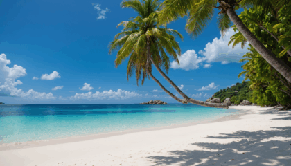 découvrez pourquoi les seychelles sont une destination de rêve à visiter au moins une fois dans votre vie : plages paradisiaques, nature exceptionnelle et culture unique vous y attendent.