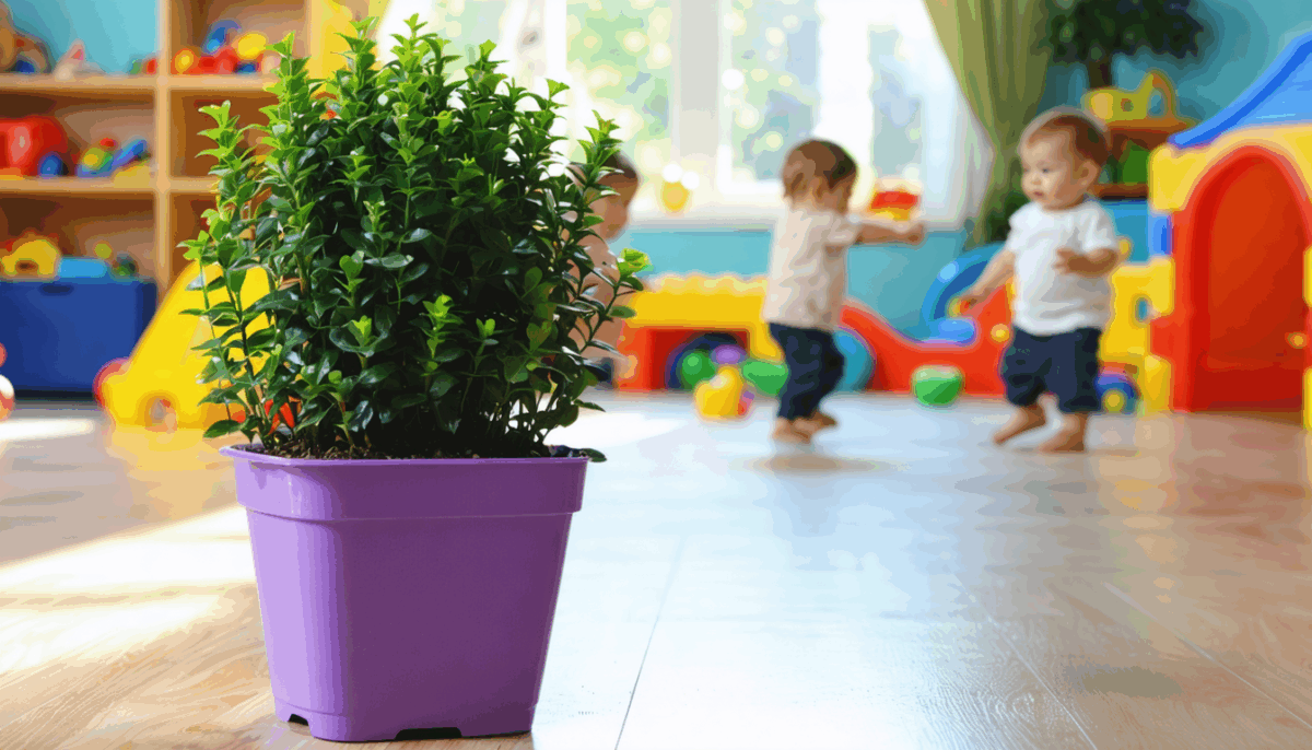 découvrez les dangers méconnus des spigaous en crèche. cet article explore les risques potentiels pour les tout-petits et propose des conseils pratiques pour assurer leur sécurité tout en favorisant leur développement.