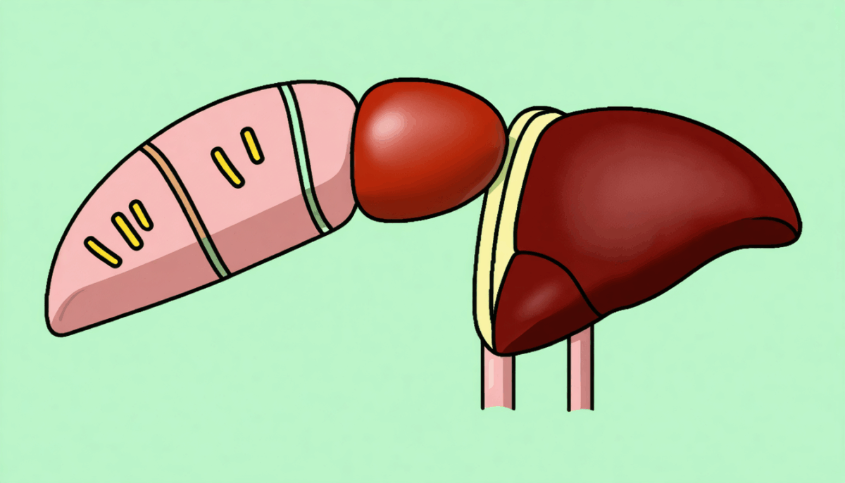 découvrez les informations essentielles sur l'interaction entre le doliprane et le gamma gt. apprenez comment ces deux éléments peuvent influencer votre santé et les précautions à prendre pour un usage sécurisé.