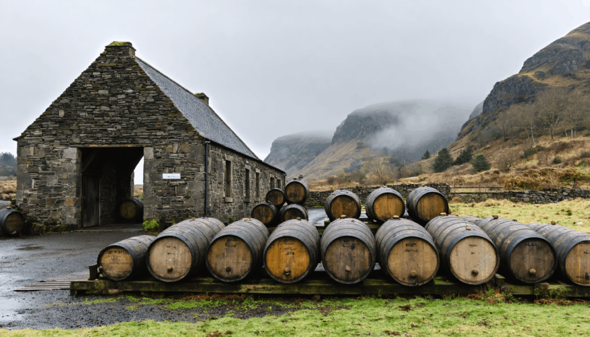 découvrez les secrets pour choisir un whisky d'exception avec les recommandations d'un expert. apprenez à identifier les saveurs, les arômes et les caractéristiques qui font la qualité d'un whisky. que vous soyez novice ou passionné, trouvez les clés pour enrichir votre expérience de dégustation.