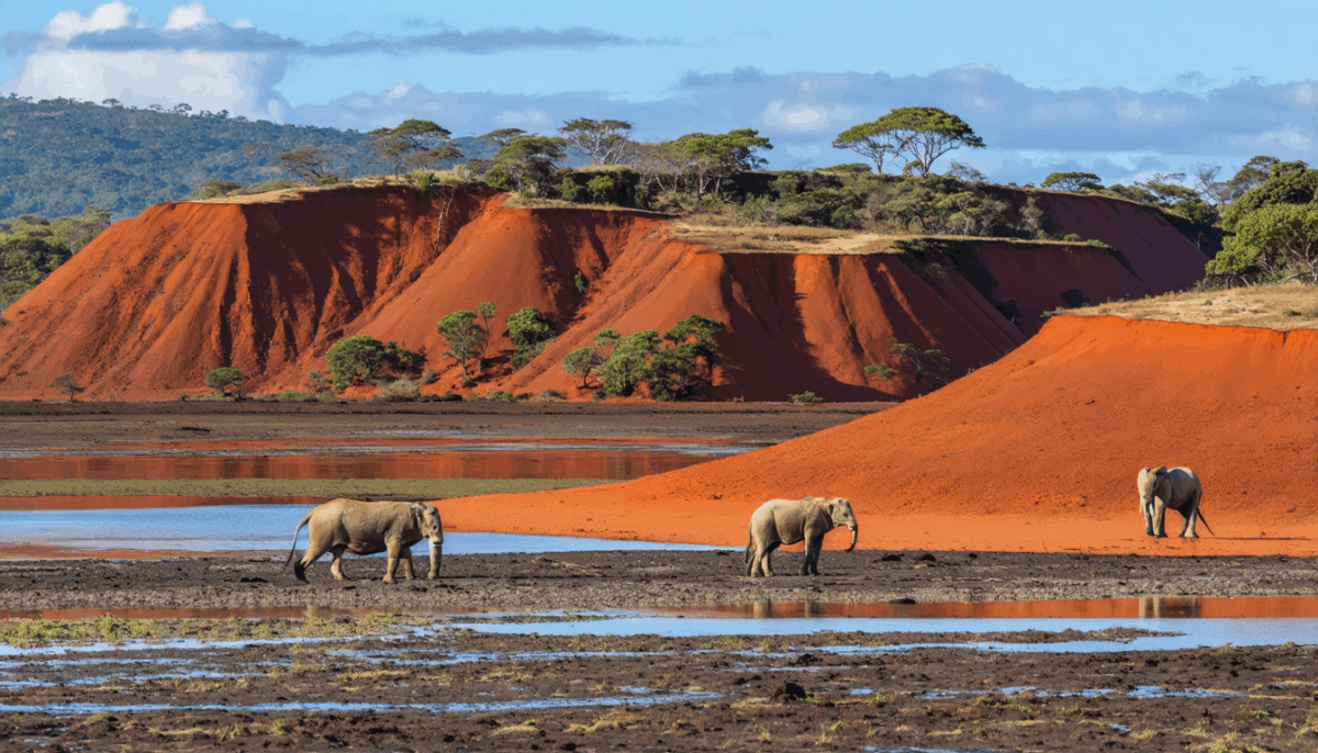 découvrez les pays fascinants dont le nom commence par la lettre m. plongez dans leurs cultures uniques, leurs paysages pittoresques et leurs richesses historiques. préparez-vous à explorer des destinations captivantes qui promettent des aventures inoubliables.