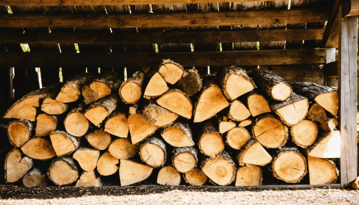 découvrez notre offre exceptionnelle de bois de chauffage à seulement 50 euros le stère. profitez d'une solution économique et écologique pour vos besoins de chauffage cet hiver. ne manquez pas cette opportunité à saisir pour rester au chaud à petit prix !