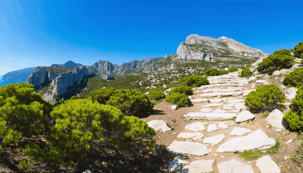 découvrez les pièges à éviter et les lieux à fuir lors de vos vacances en corse grâce aux conseils d voyageurs aguerris. évitez les déceptions et profitez pleinement des trésors cachés de l'île de beauté.