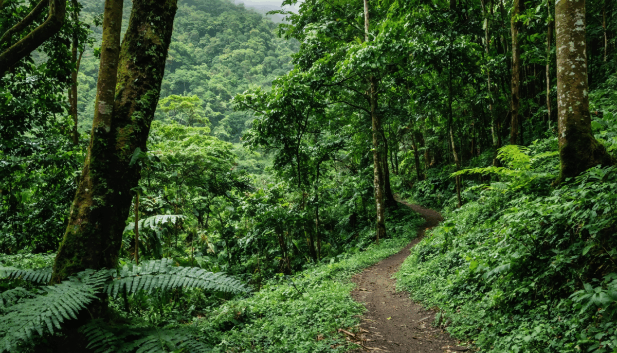 découvrez si le costa rica est un pays risqué pour les voyageurs. nos conseils pratiques vous aideront à naviguer en toute sécurité et à profiter pleinement de votre séjour dans ce paradis tropical.