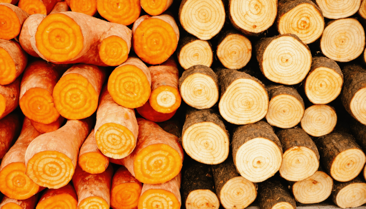 partez à la découverte du fruit iacaque et d’un légume rare commençant par la lettre i. explorez leurs saveurs uniques, leurs bienfaits pour la santé et des idées pour les cuisiner facilement dans vos repas.