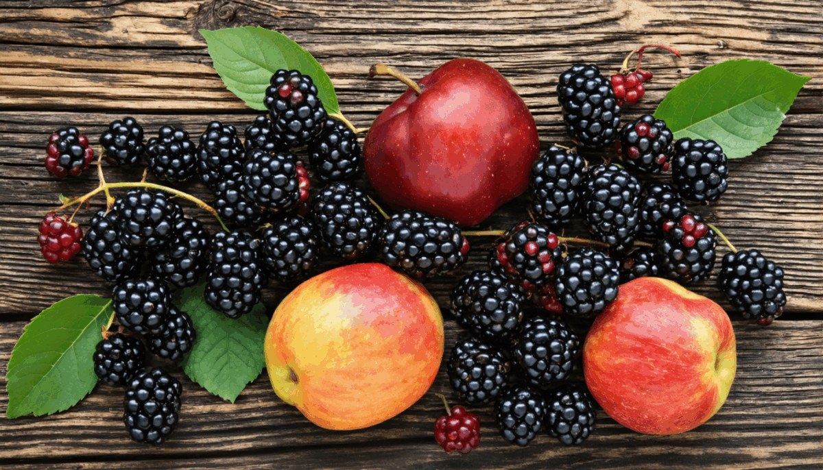 explorez notre guide complet sur les fruits noirs : liste exhaustive, bienfaits pour la santé, astuces de consommation et idées de recettes gourmandes pour profiter pleinement de leurs atouts nutritionnels.