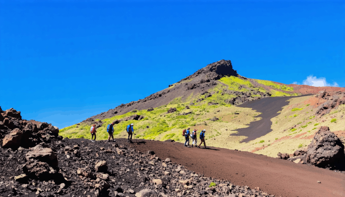 découvrez comment voyager sereinement aux îles canaries : évaluez les risques, assurez votre sécurité et profitez de conseils pratiques pour des vacances sans souci sur cet archipel ensoleillé.