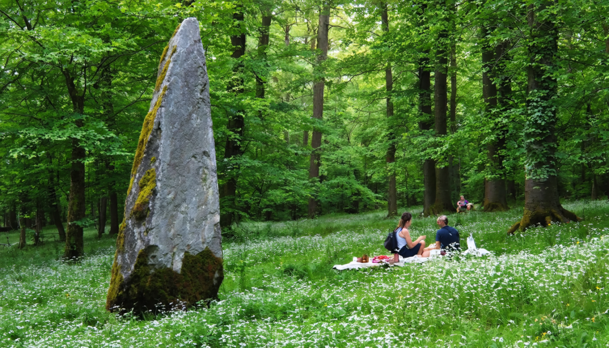 explorez l’aire du menhir à olonne-sur-mer lors d'une agréable promenade en forêt, et profitez d'un déjeuner sur l'herbe pour un moment de détente en pleine nature.