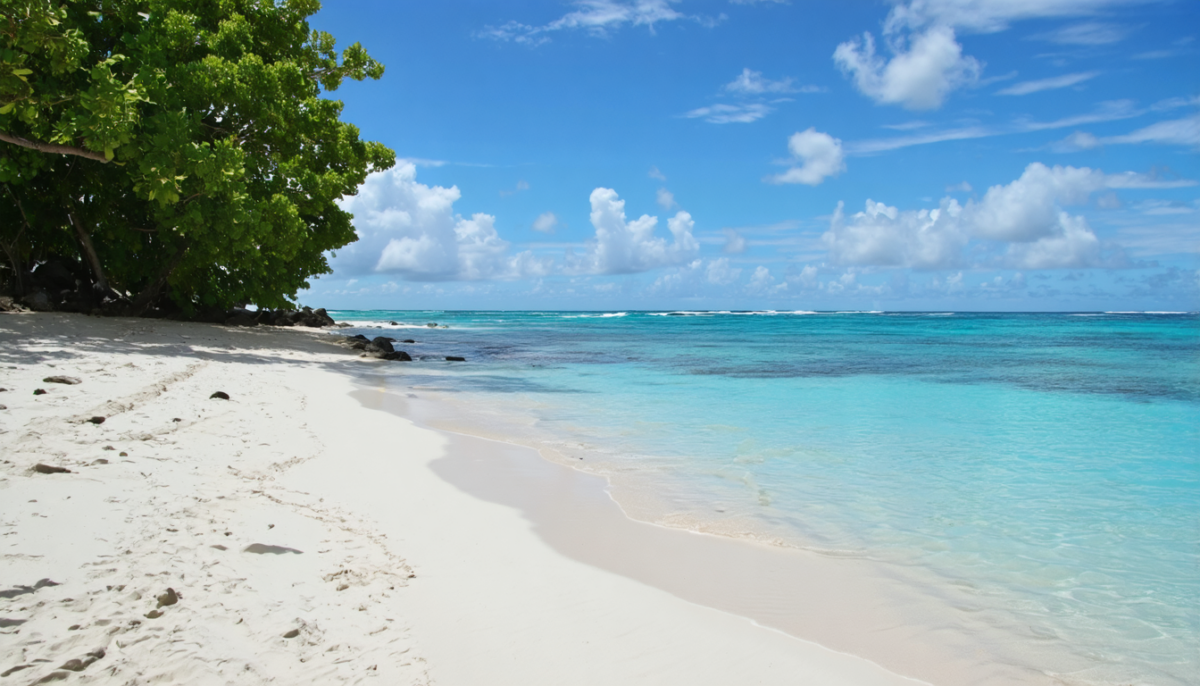 explorez la vérité sur aruba : mythe ou menace ? nos conseils essentiels vous garantissent un voyage sécurisé et inoubliable sur cette destination paradisiaque.