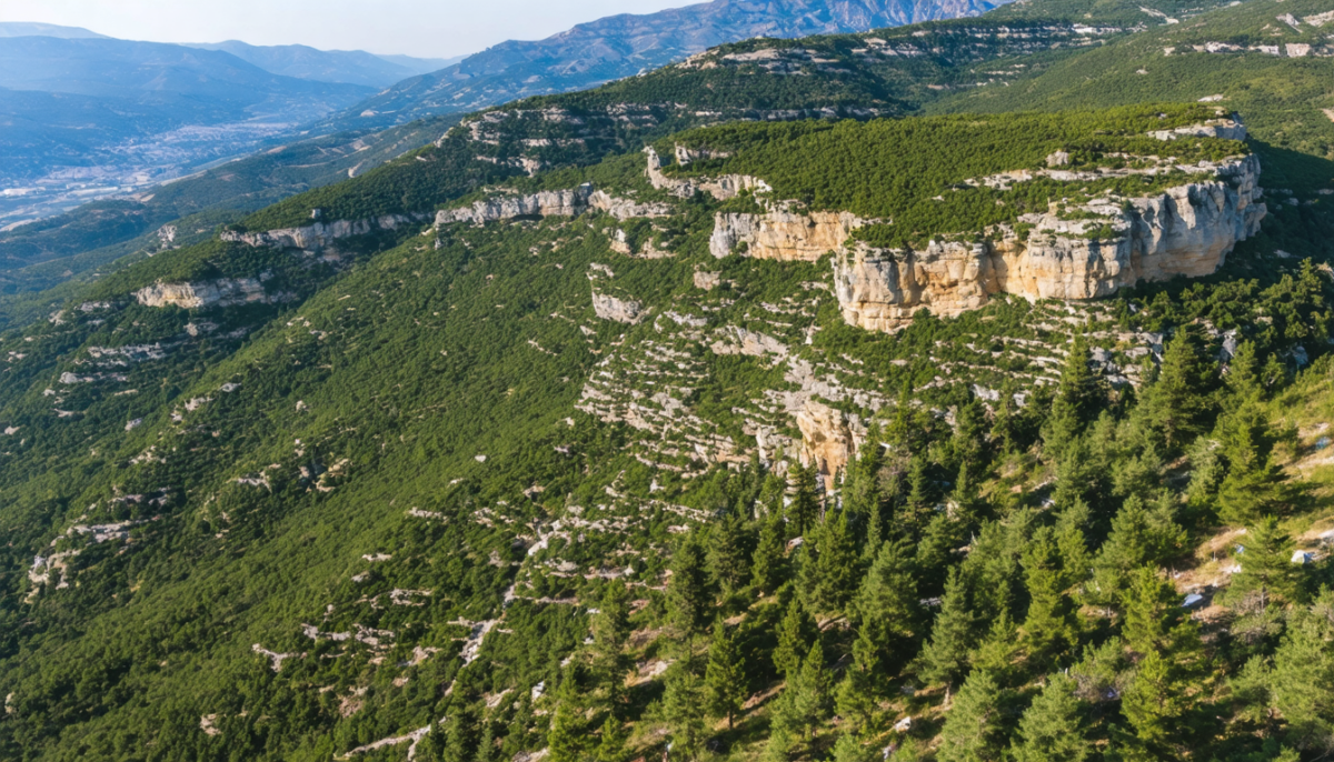 découvrez la réserve naturelle préservée de horsh ehden à travers une exploration immersive au point 34.307701. plongez dans la beauté sauvage et la biodiversité unique de ce site exceptionnel.