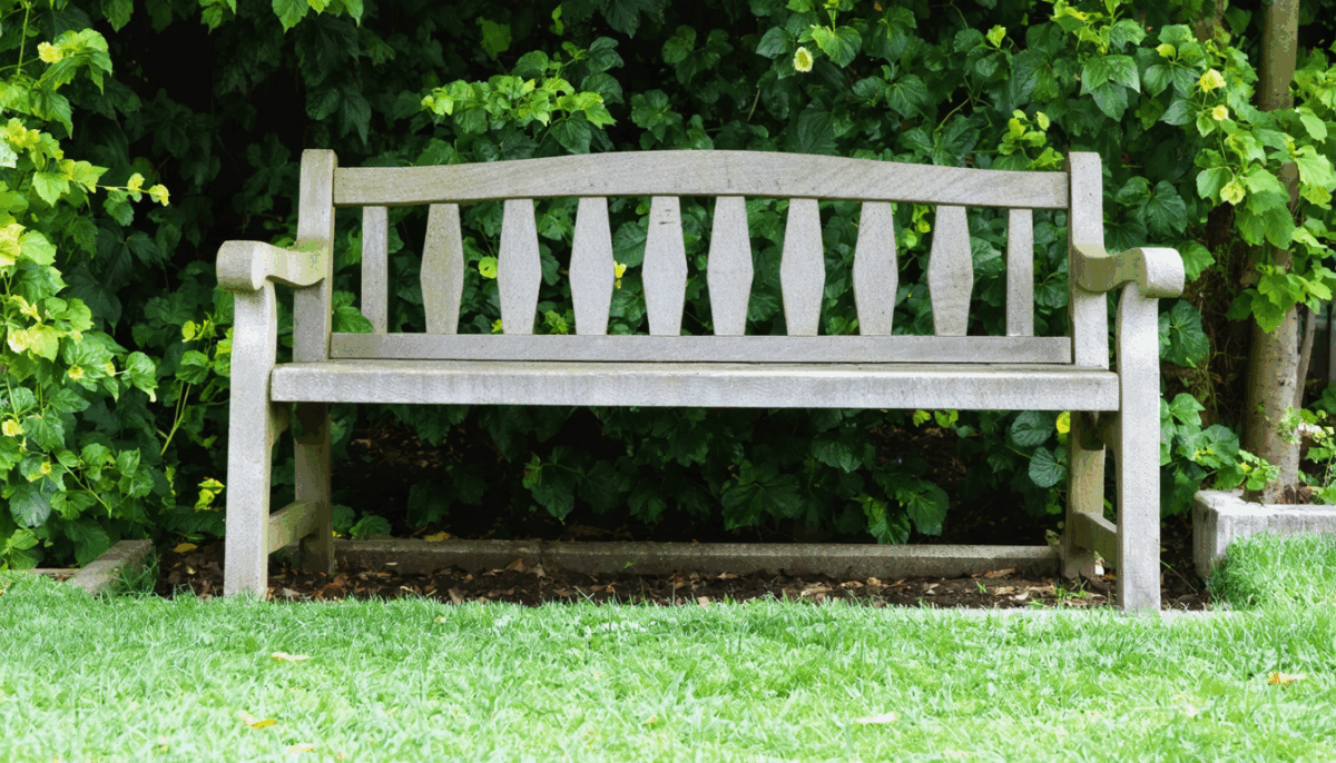 découvrez des astuces ingénieuses pour camoufler efficacement un système d'assainissement individuel dans votre jardin, tout en préservant l'esthétique et l'environnement de votre extérieur.
