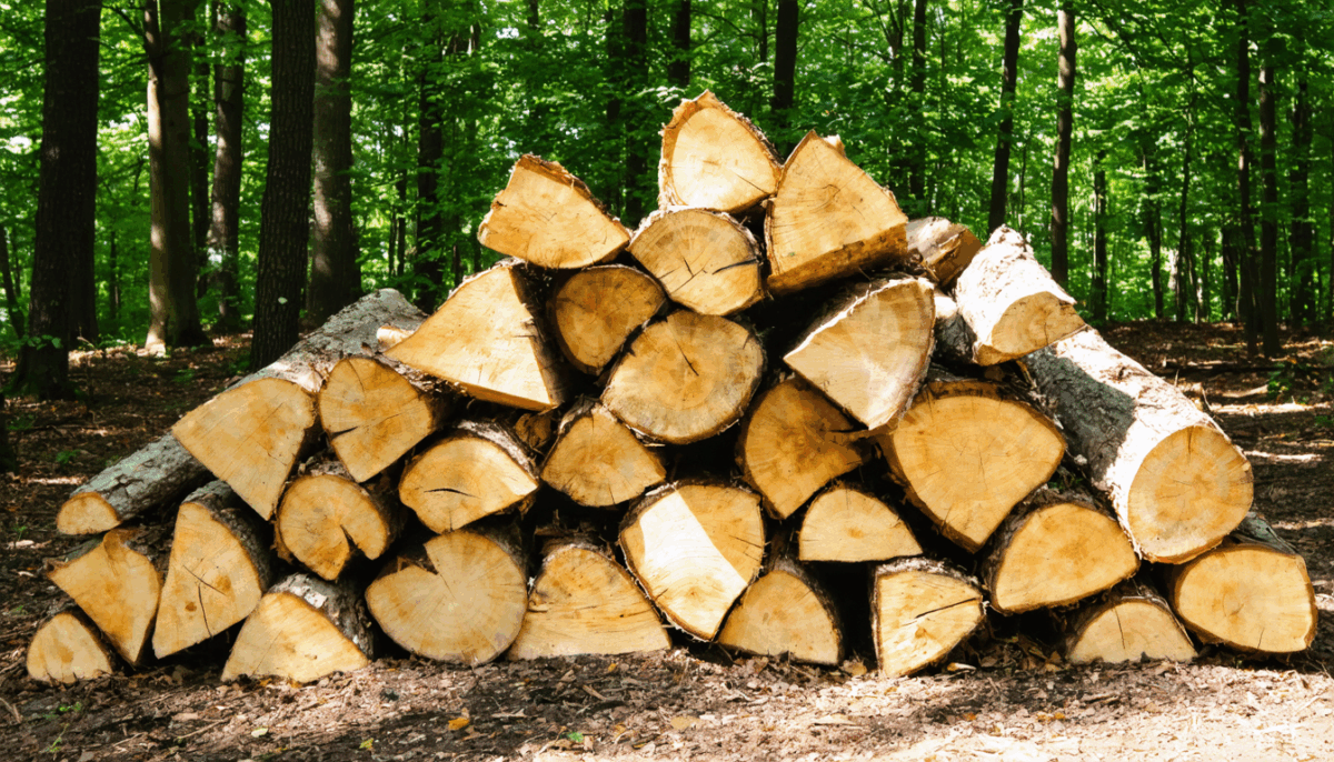 découvrez pourquoi le taux d'humidité du bois de chauffage influence directement ses performances, son rendement et la sécurité de votre foyer. apprenez à choisir un bois adapté pour une combustion efficace et durable.