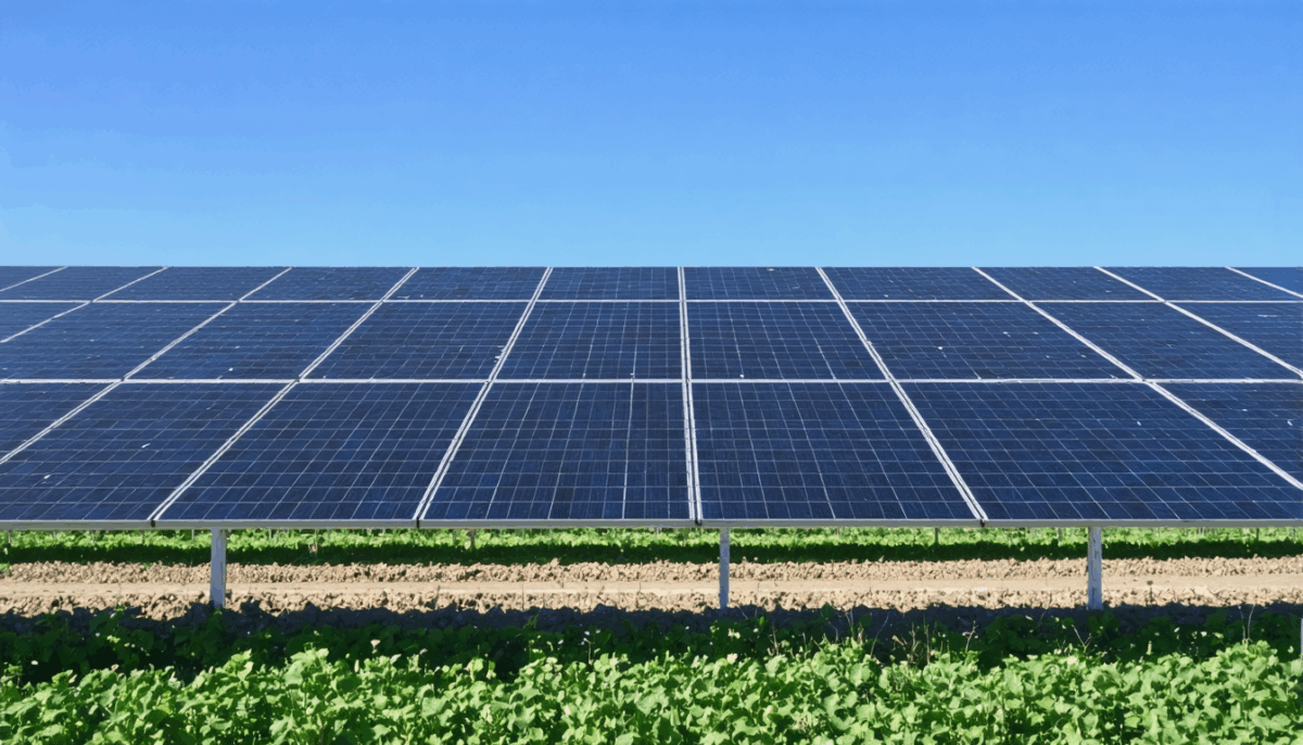 découvrez comment sélectionner l'emplacement optimal pour installer une ombrière photovoltaïque dans votre exploitation agricole. suivez notre guide pratique pour maximiser la production d'énergie solaire tout en valorisant vos terrains.