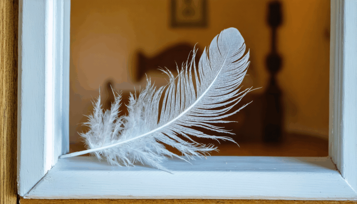 découvrez la signification mystique et symbolique de trouver une plume d'oiseau chez vous : messages spirituels, protection, guidance et interprétations selon les traditions et croyances.