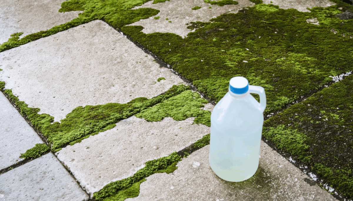 découvrez cinq astuces de grand-mère simples et efficaces pour nettoyer votre terrasse en béton et lui redonner tout son éclat. profitez de méthodes naturelles pour une terrasse propre et lumineuse tout au long de l’année !