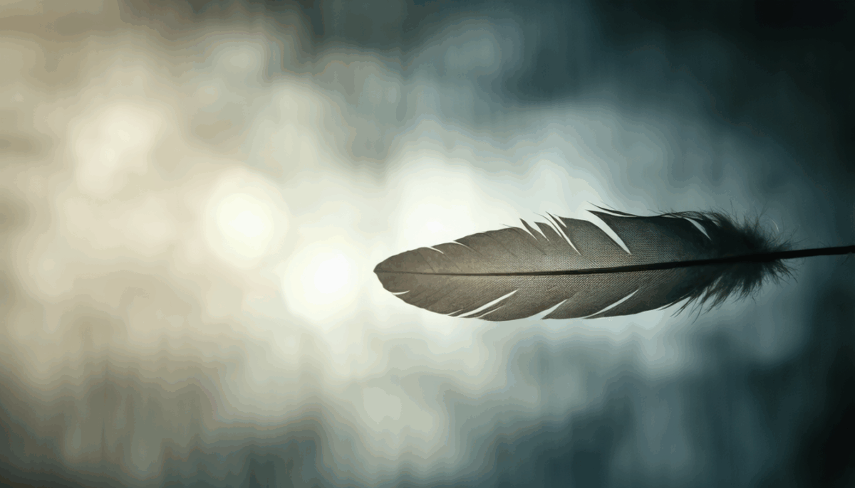 découvrez la signification spirituelle et symbolique d'une plume d'oiseau retrouvée dans votre maison. interprétations, messages cachés et explications pour comprendre ce que cet événement transmet dans votre vie.