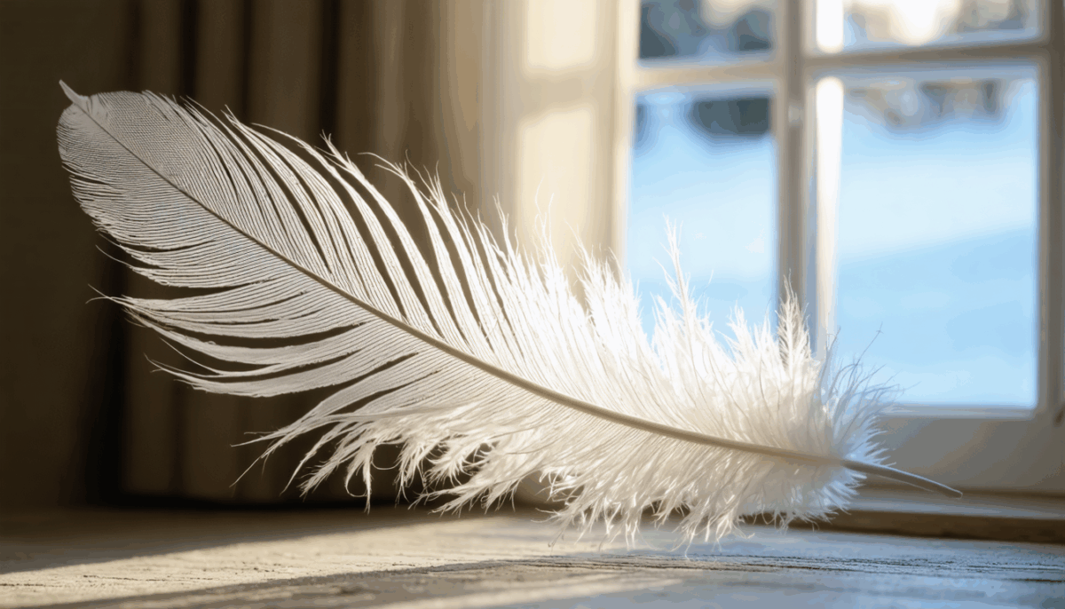 découvrez la signification spirituelle et symbolique de trouver une plume d'oiseau chez vous. explorez les messages cachés que cet événement pourrait vous transmettre et ce qu'il révèle sur votre vie.