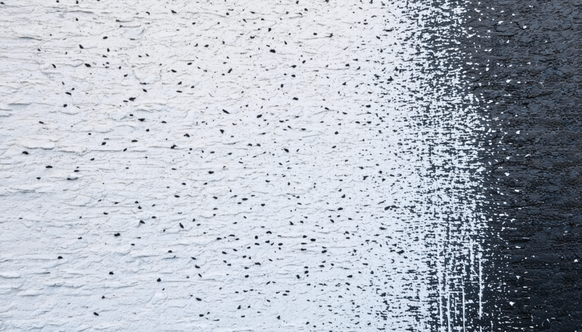 découvrez des astuces simples et efficaces pour enlever facilement les déjections d'oiseaux sur un mur crépi, sans abîmer la surface. protégez votre façade et retrouvez un mur propre rapidement !